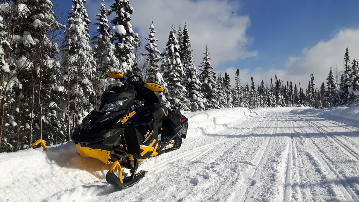 Motoneiges sur une piste au milieu des sapins enneigés